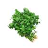 Fresh Coriander Leaf Bunch